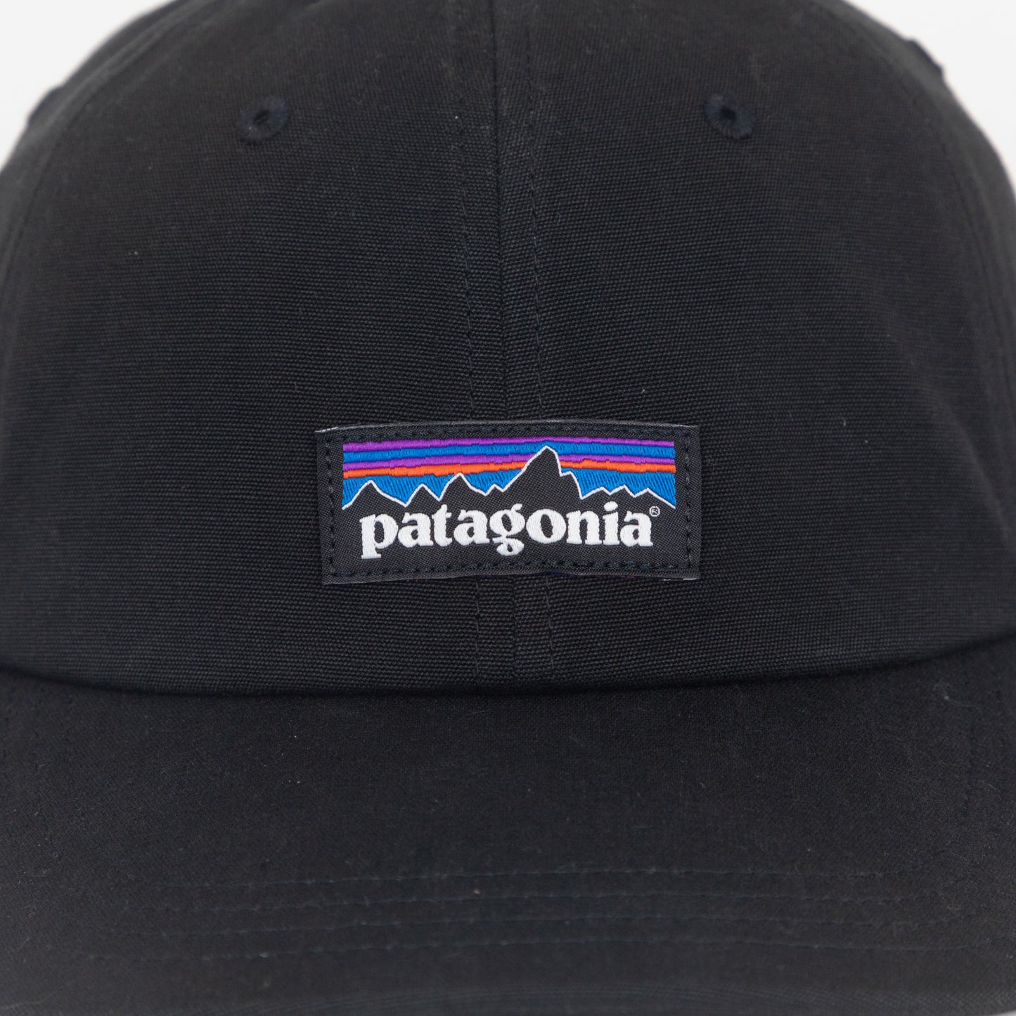 PATAGONIA P-6 Label Trad Cap in BLACK