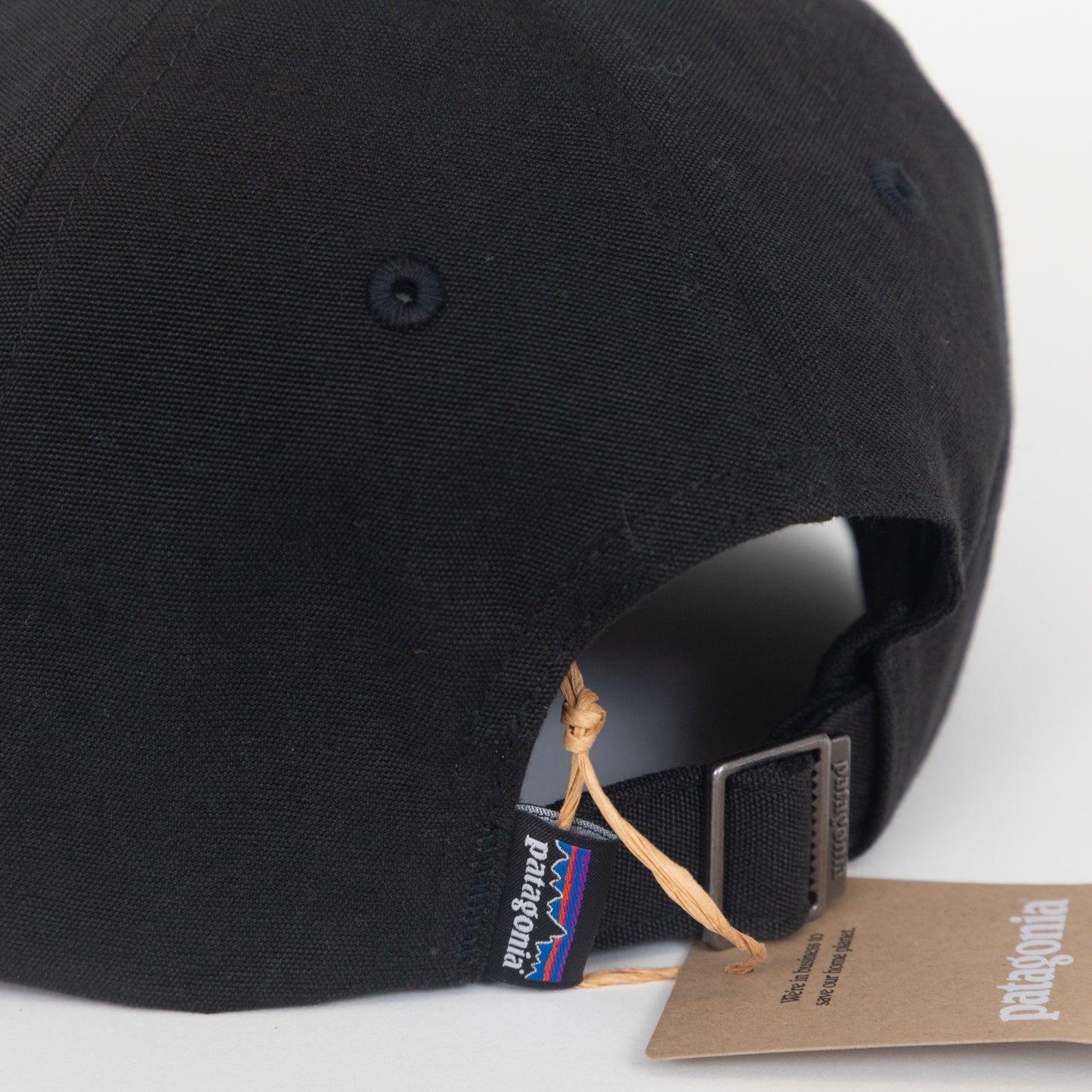 PATAGONIA P-6 Label Trad Cap in BLACK