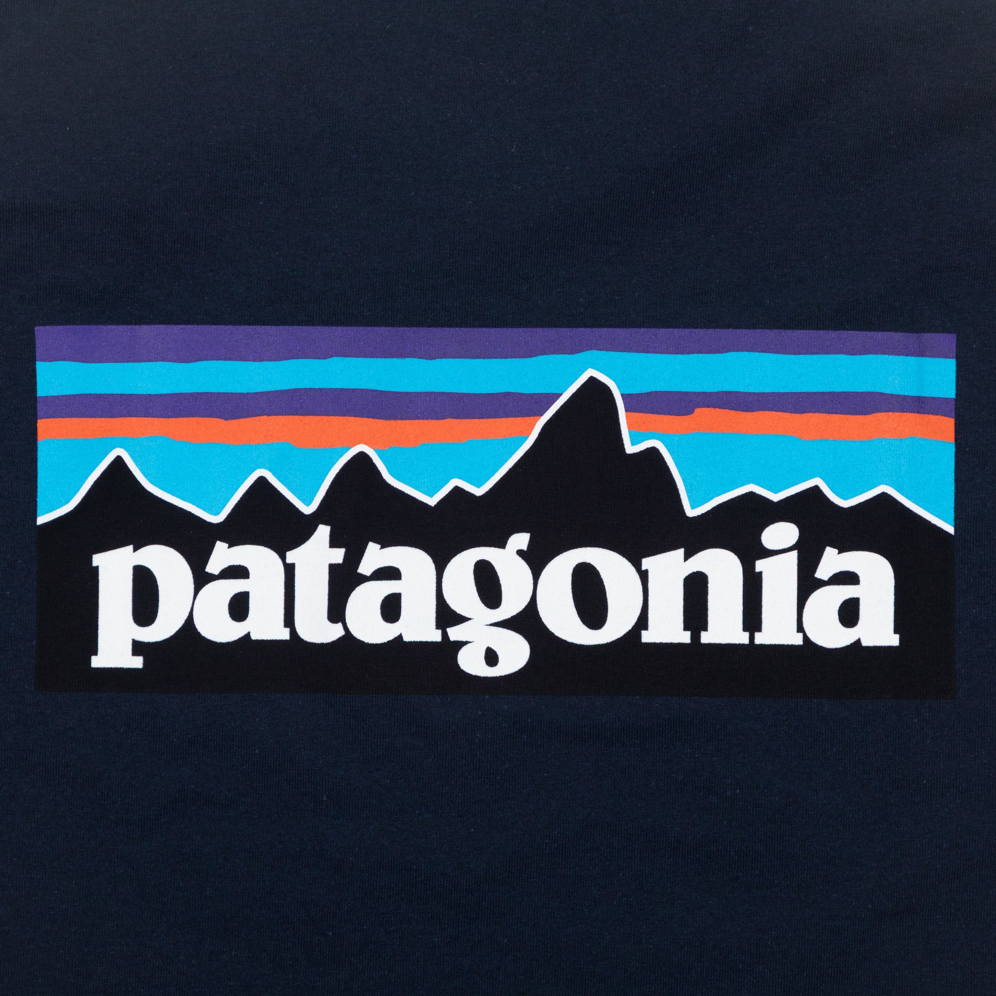 PATAGONIA P-6 Logo Responsibili-Tee T-Shirt in NAVY