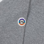 PATAGONIA Fitz Roy Icon Uprisal Hoodie in GREY
