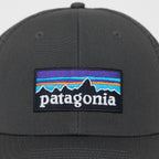 PATAGONIA P-6 Logo Trucker Hat in FORGE GREY