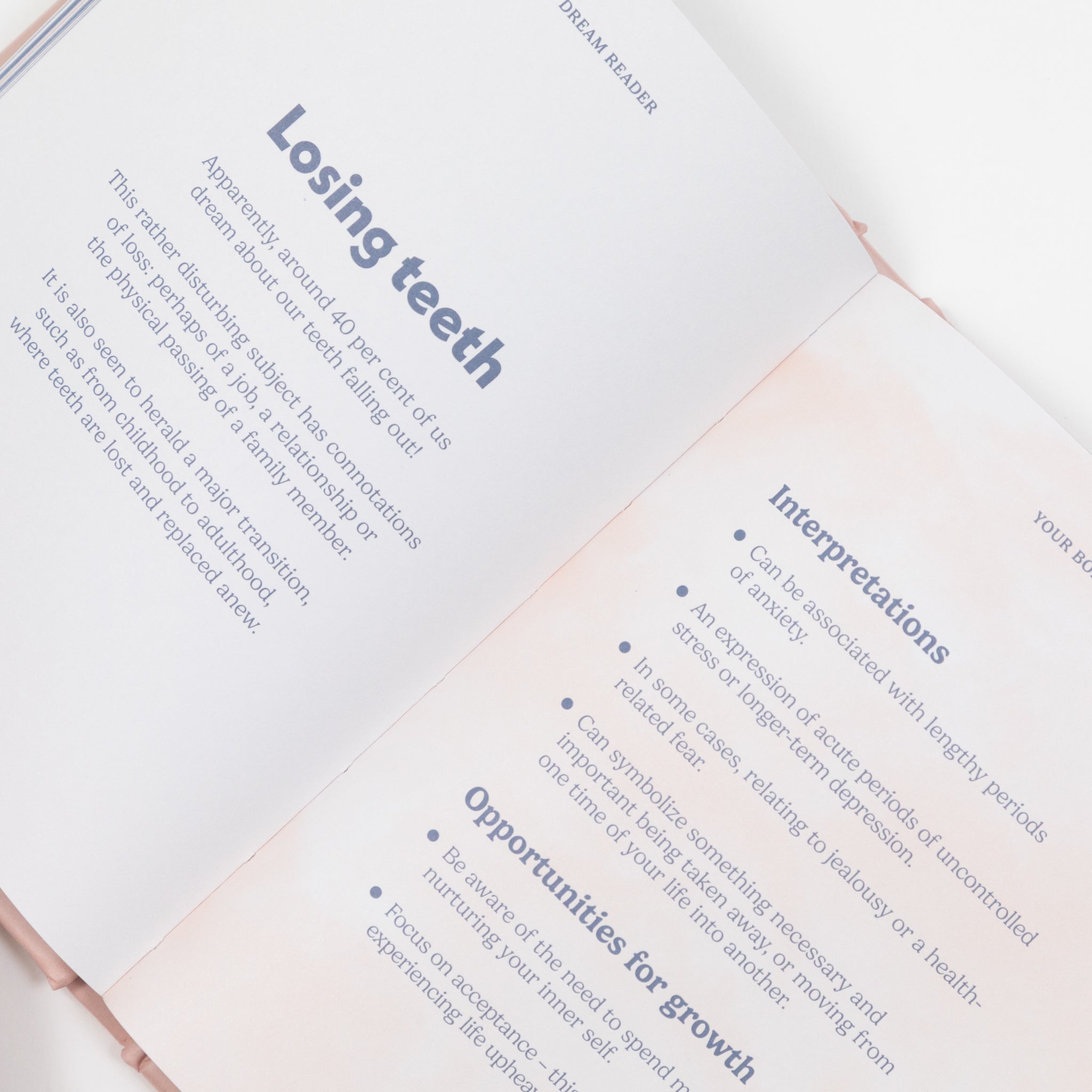 Pocket Dream Reader Book