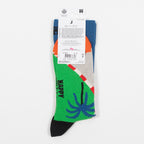 HAPPY SOCKS Racing Socks in GREEN