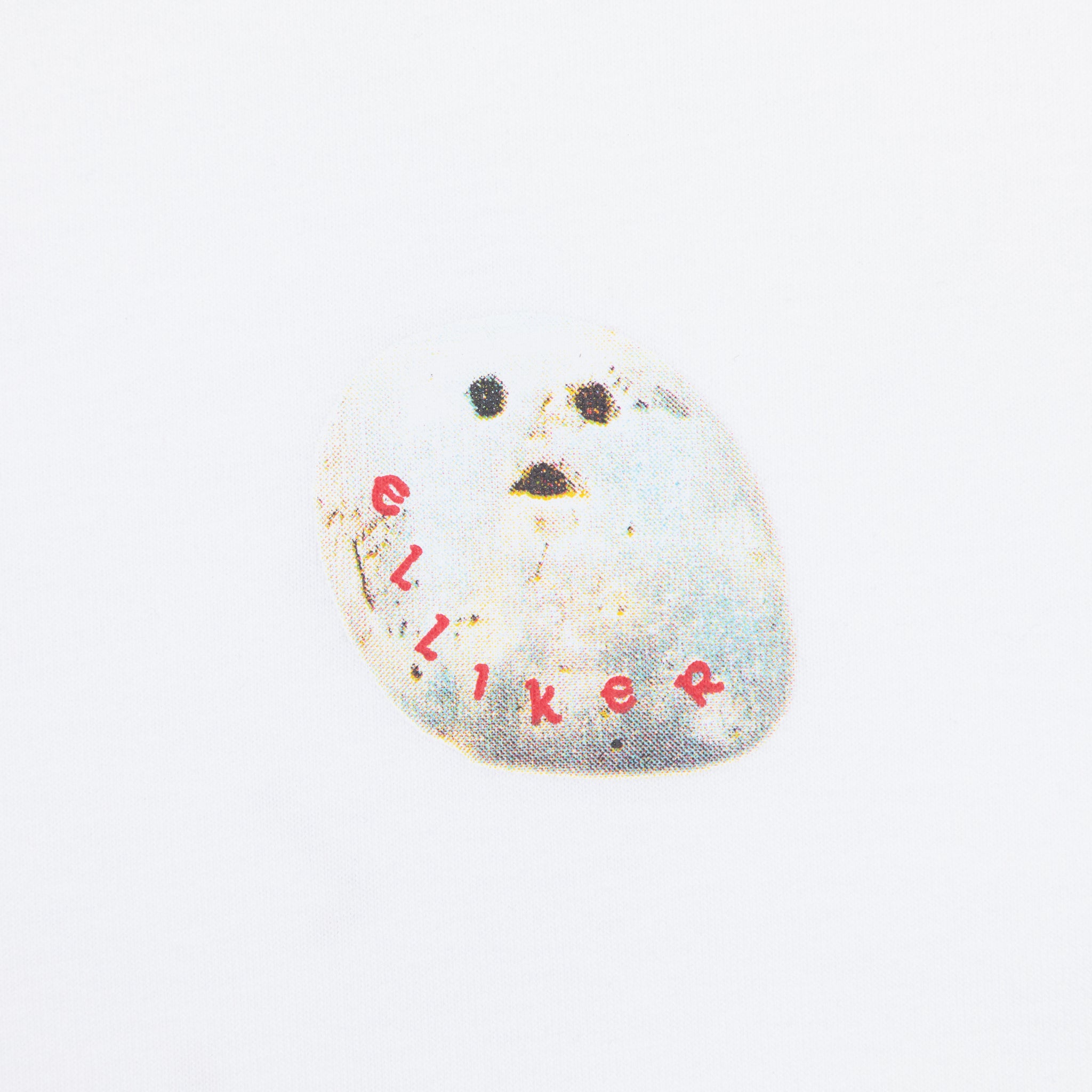 ELLIKER Rill Stone Graphic T-Shirt in WHITE