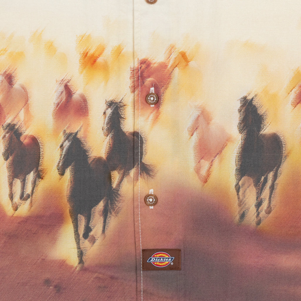 DICKIES Running Wild Short Sleeve Shirt in BROWN