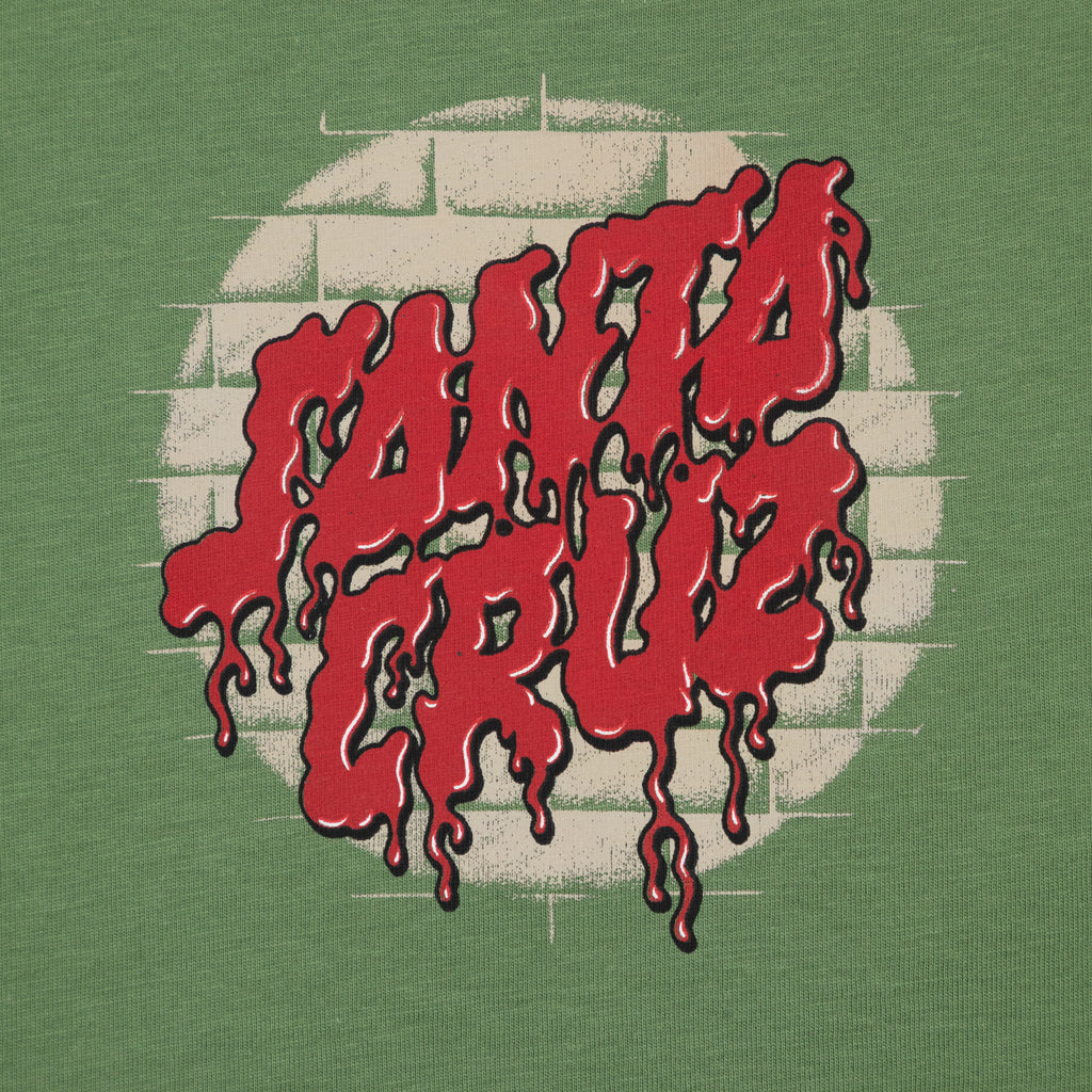 SANTA CRUZ Delfino Spotlight Front T-Shirt in DILL GREEN