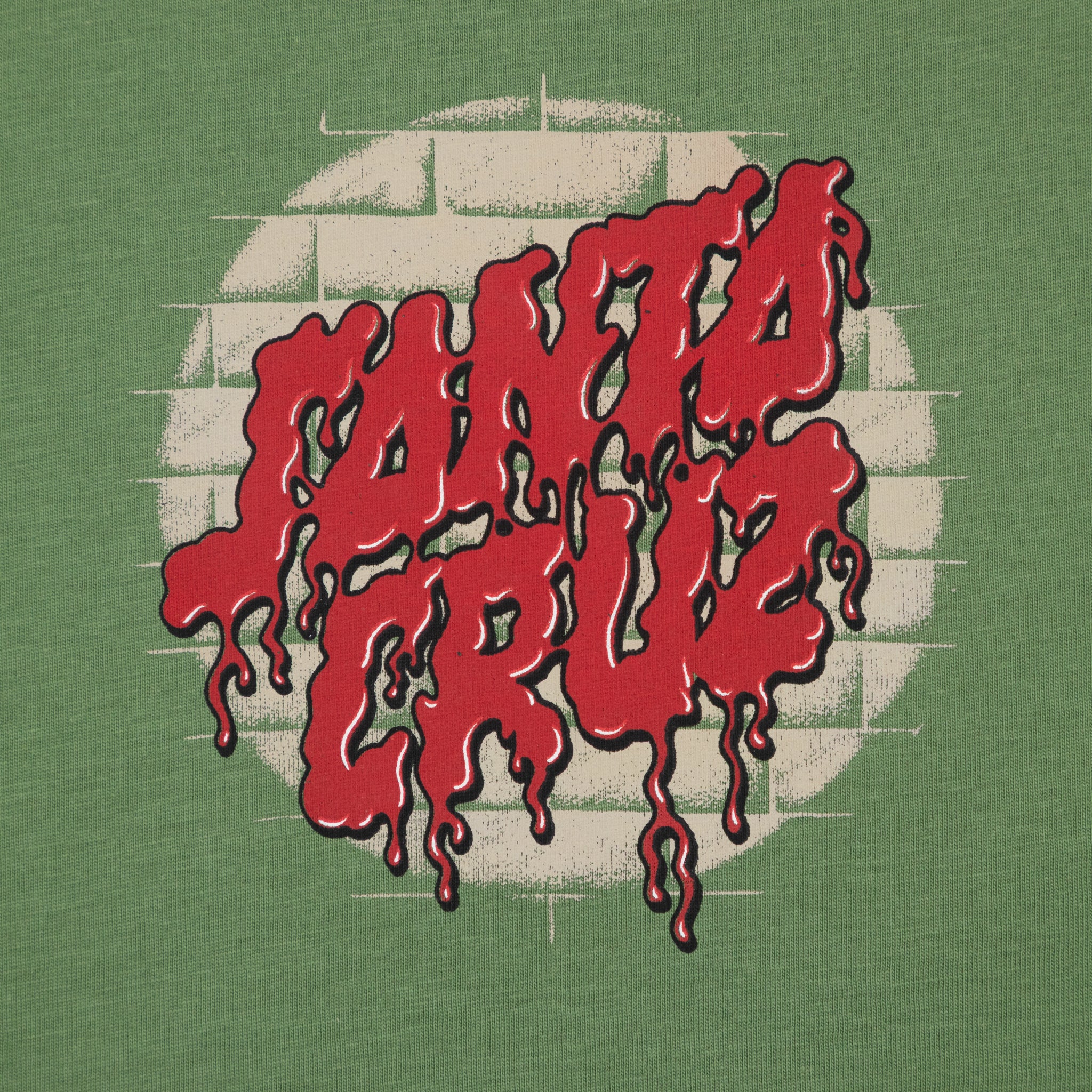 SANTA CRUZ Delfino Spotlight Front T-Shirt in DILL GREEN