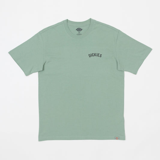 DICKIES Snake Graphic T-Shirt in ICEBERG GREEN