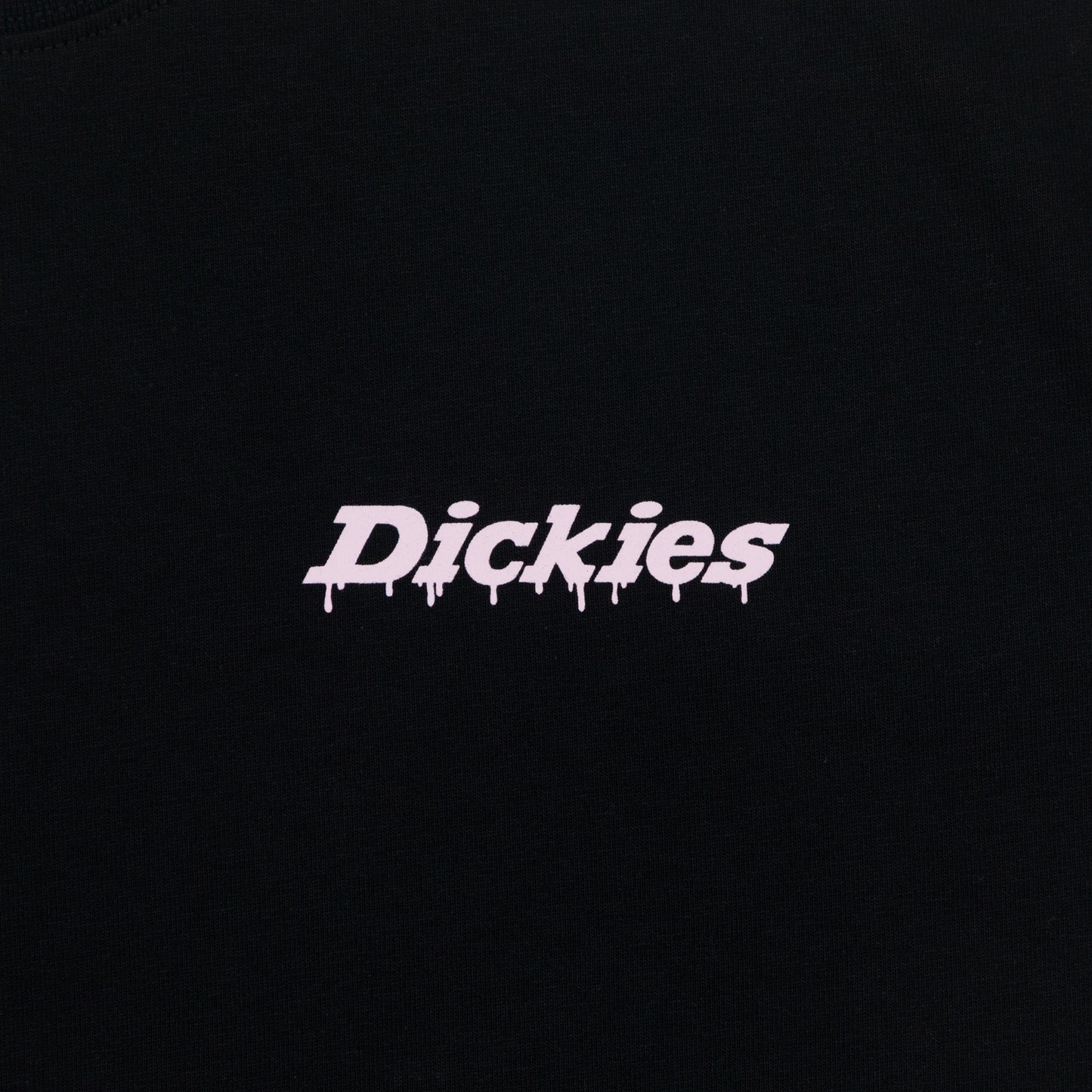 DICKIES Statesville T-Shirt in BLACK