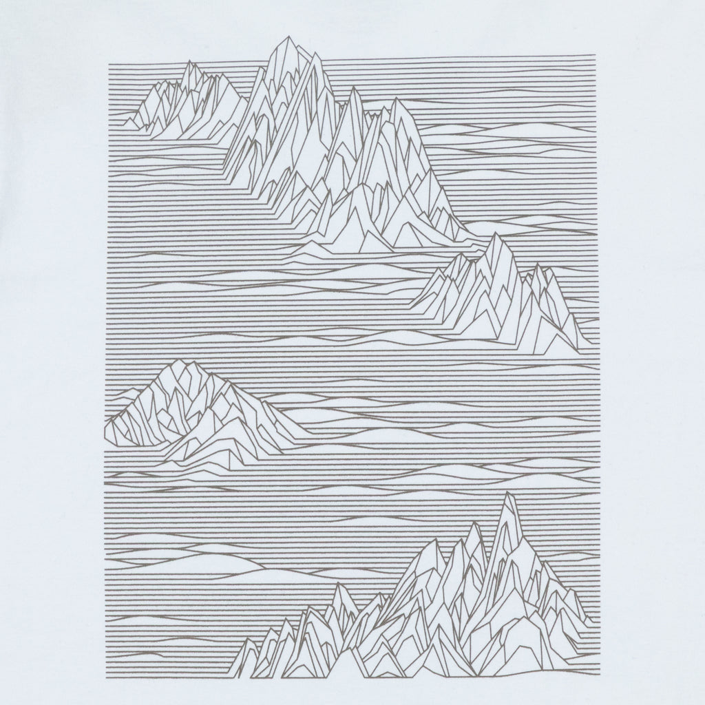 PATAGONIA Strataspire Responsibili-Tee T-Shirt in WHITE