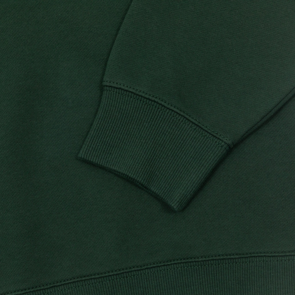 Womens CARHARTT Sweatshirt in SYCARMORE TREE / RONDO