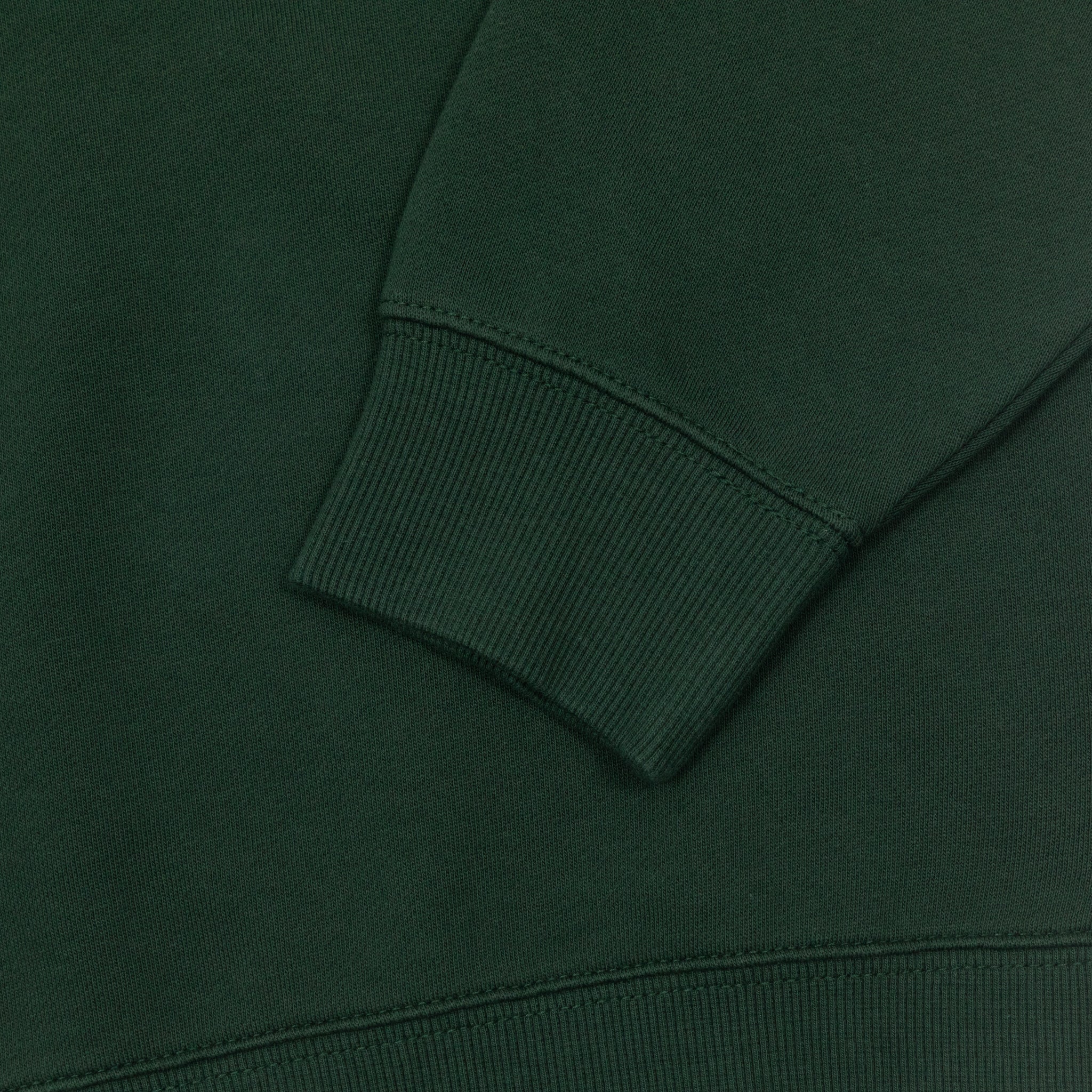 Womens CARHARTT Sweatshirt in GREEN