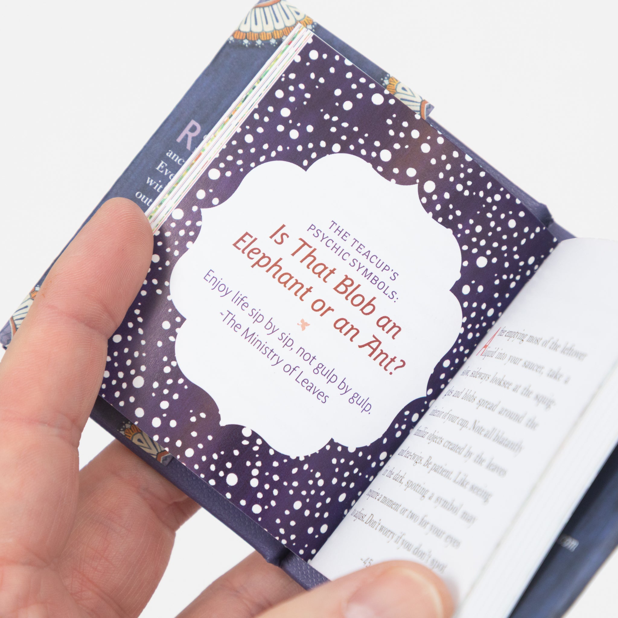 Tea Leaf Reading: A Divination Guide for the Bottom of Your Cup