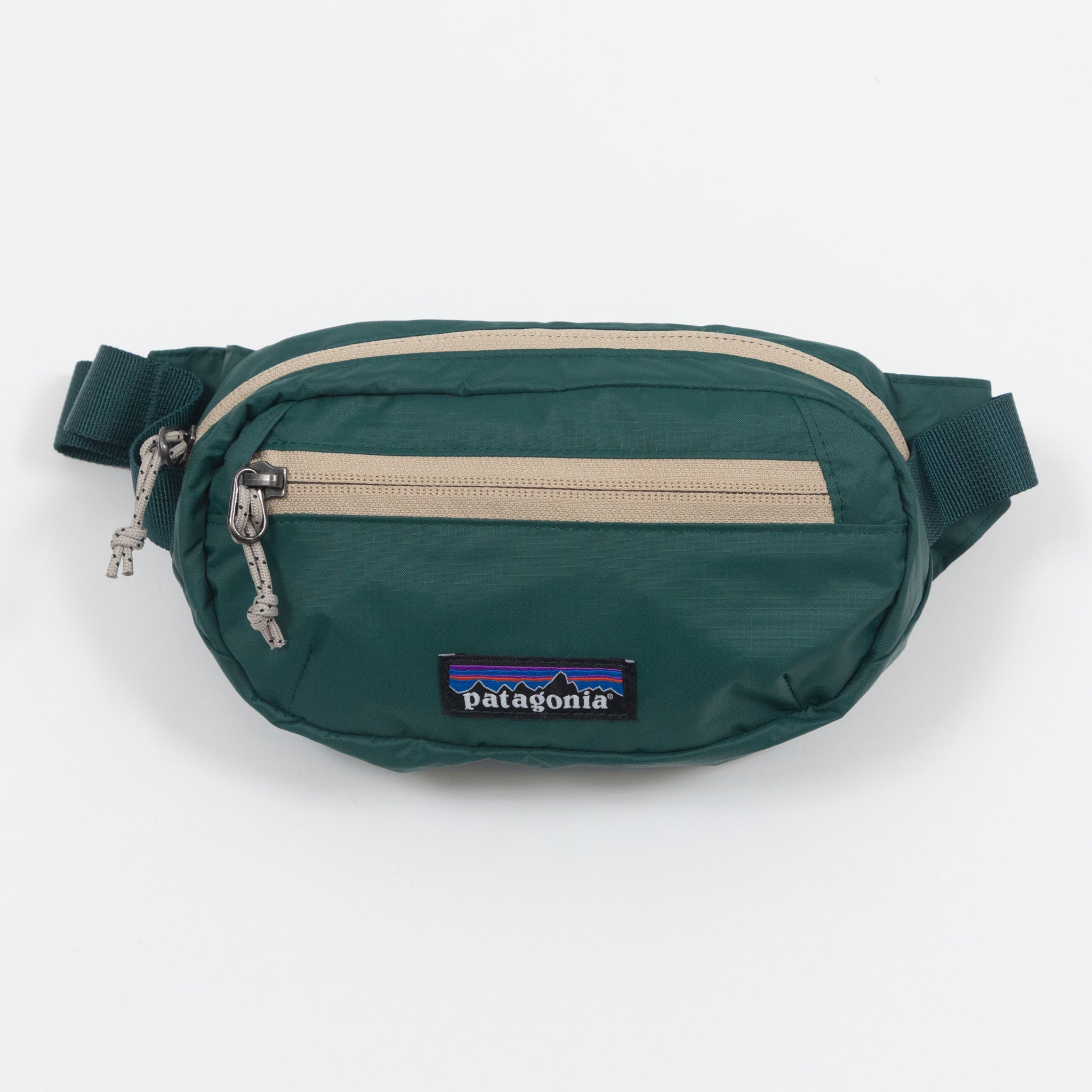PATAGONIA Terravia Mini Hip Bag in CASCADE GREEN