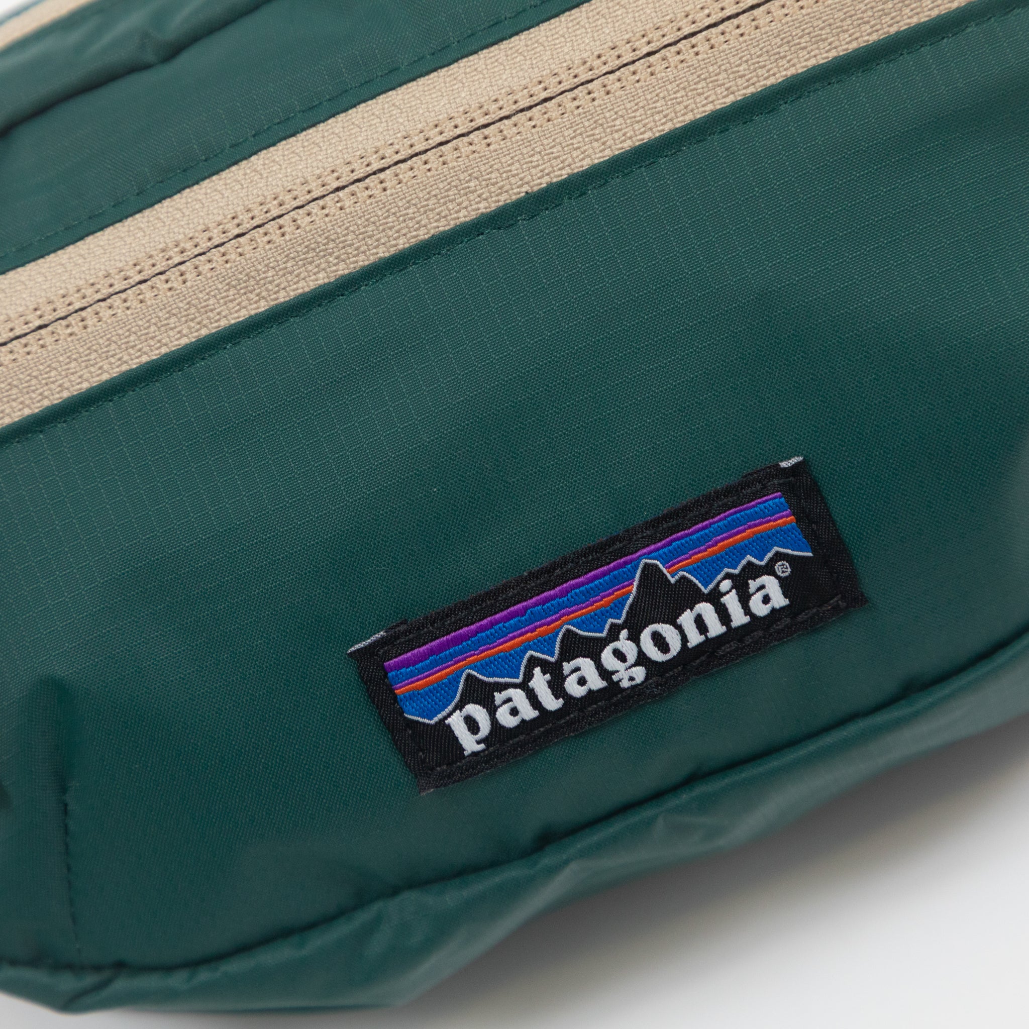 PATAGONIA Terravia Mini Hip Bag in CASCADE GREEN