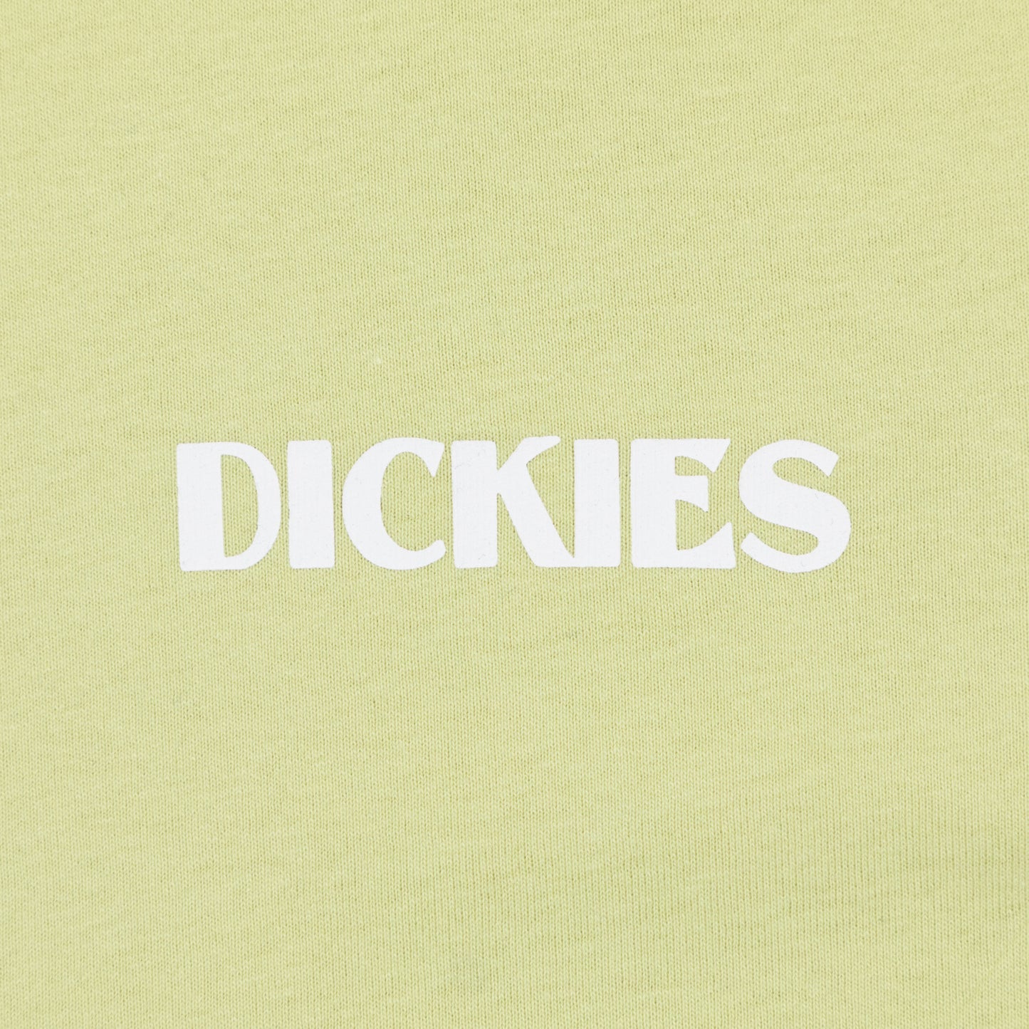 DICKIES Timberville Long Sleeve T-shirt in PALE GREEN