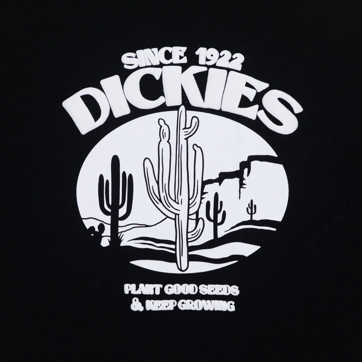 DICKIES Timberville T-shirt in BLACK
