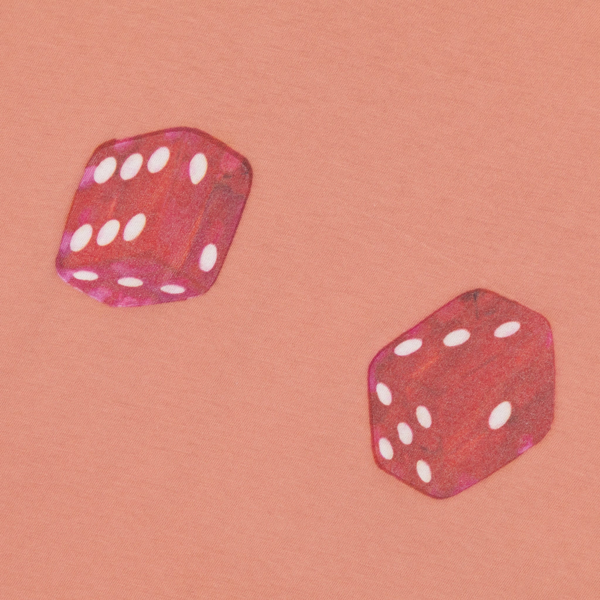 Womens BRIXTON Tossed Dice Crew T-Shirt in ITALIAN CLAY