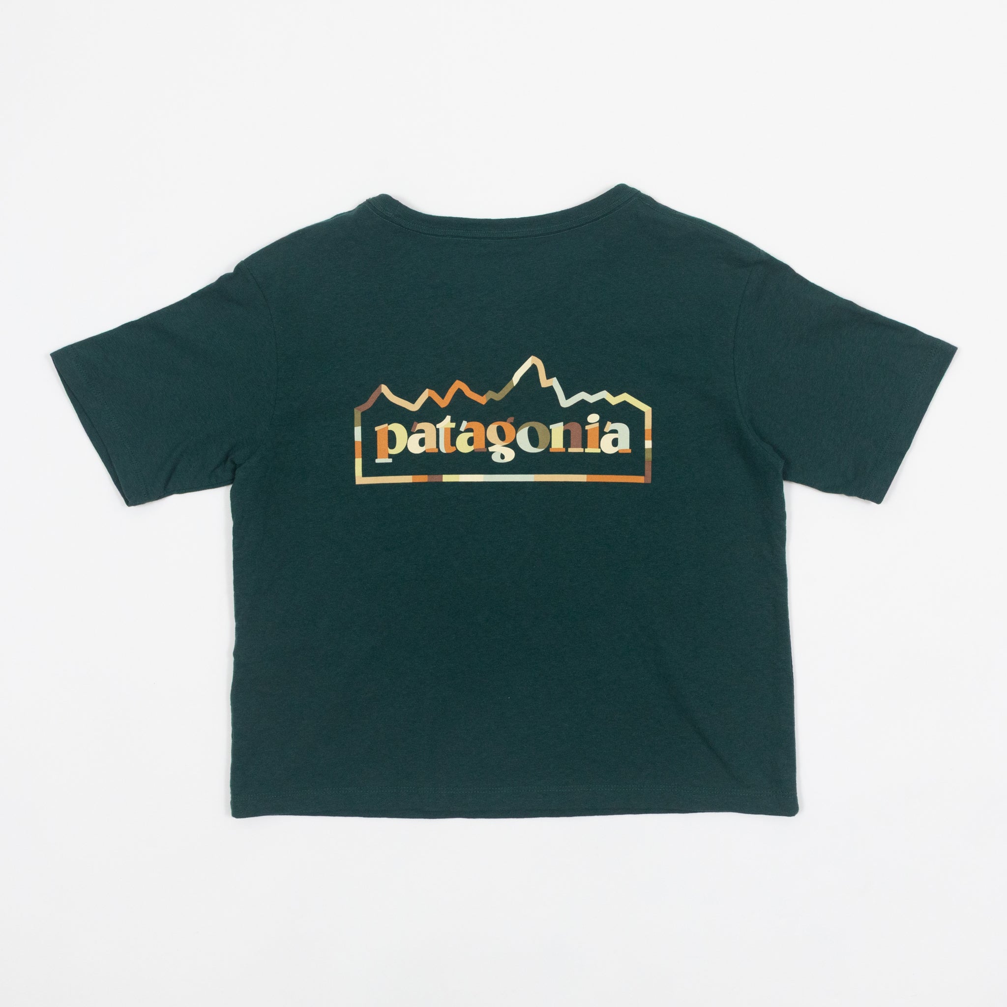 Womens PATAGONIA Unity Fitz Responsibili-Tee T-Shirt in GREEN