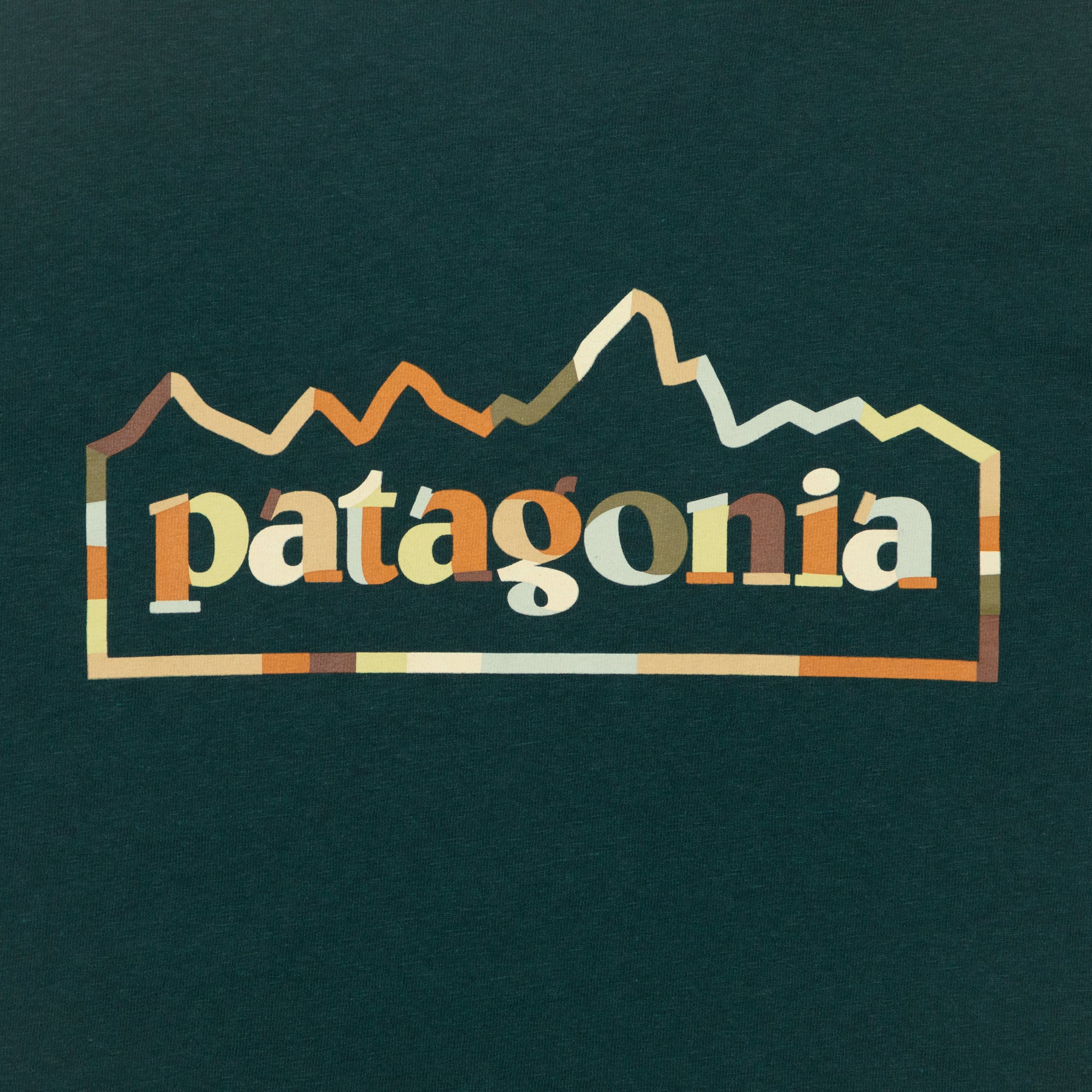 Womens PATAGONIA Unity Fitz Responsibili-Tee T-Shirt in GREEN