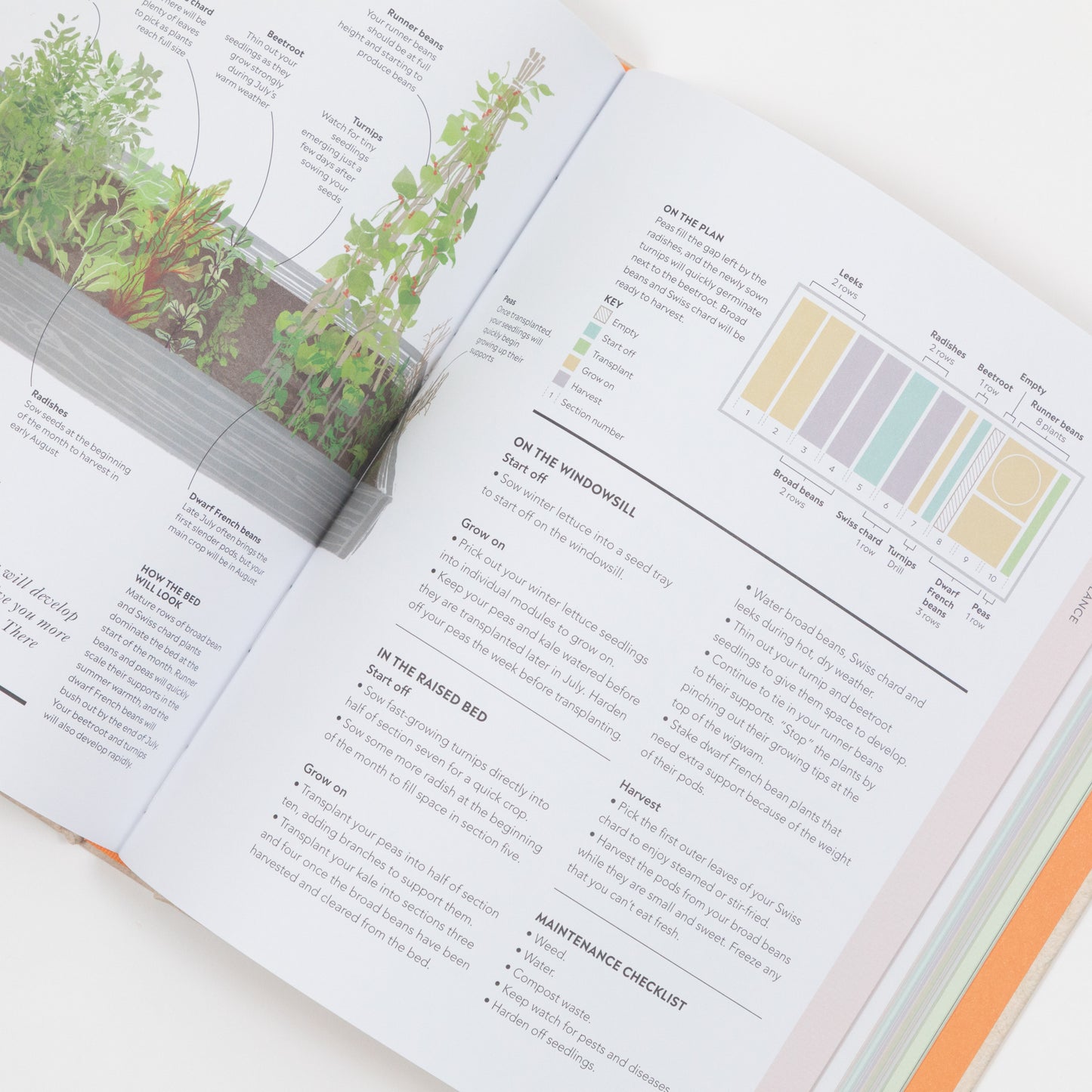 Veg in One Bed Gardening Book
