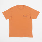 CARHARTT WIP All Tools T-Shirt in ORANGE