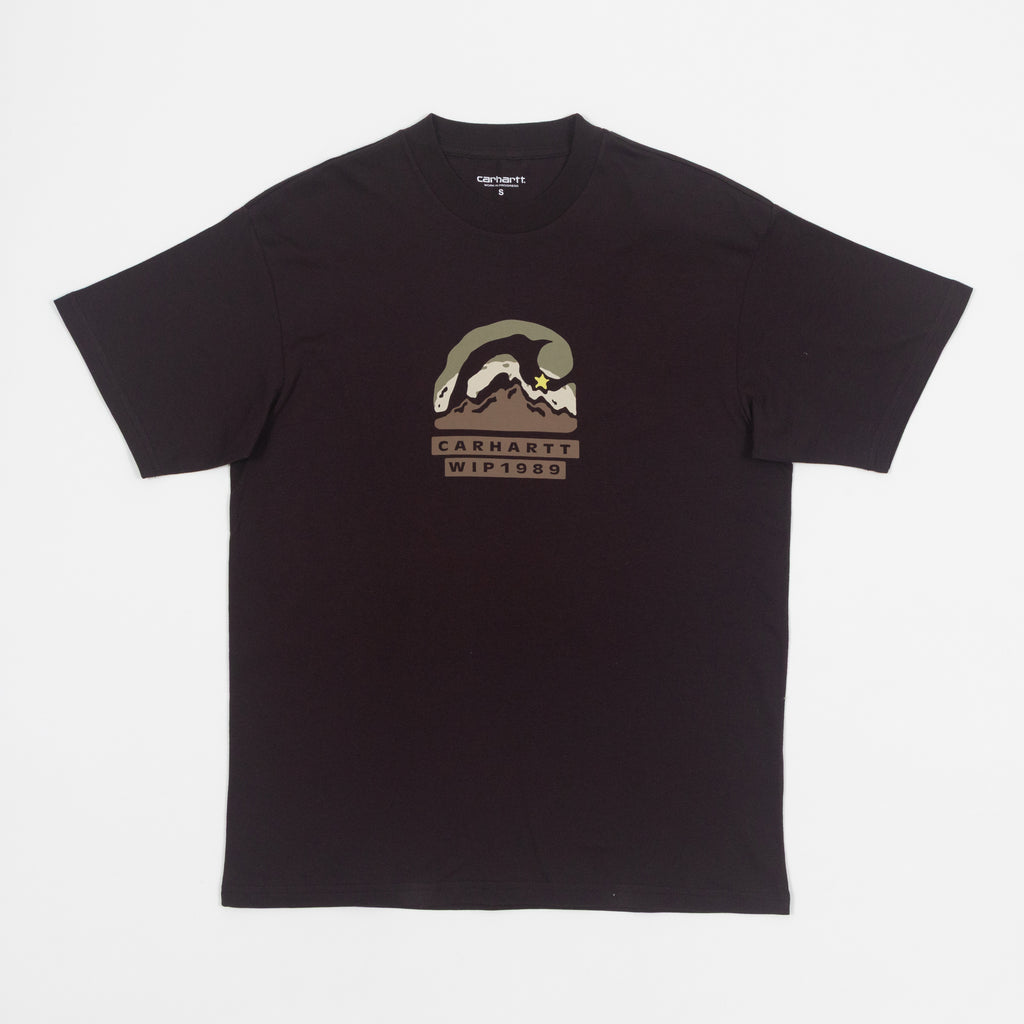 CARHARTT WIP Rising Helix T-Shirt in BROWN