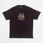 CARHARTT WIP Rising Helix T-Shirt in BROWN