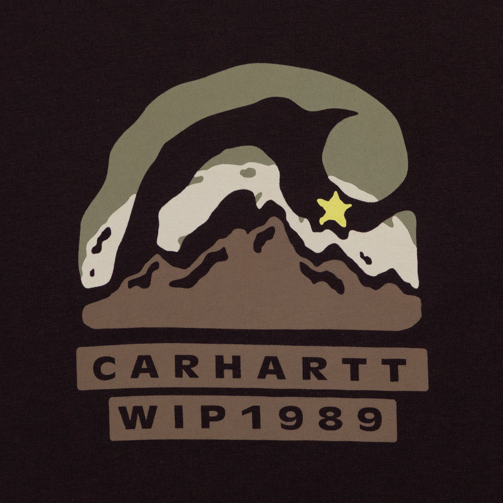 CARHARTT WIP Rising Helix T-Shirt in BROWN