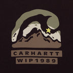 CARHARTT WIP Rising Helix T-Shirt in BROWN