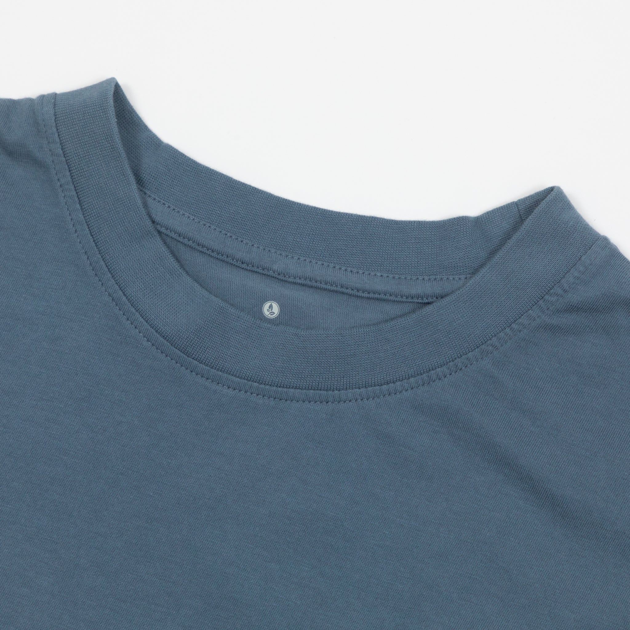 Womens KAVU Westray Long Sleeve T-Shirt in BLUE