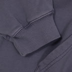 Women's CARHARTT WIP Hoggard Sweat Jacket in Shady Purple