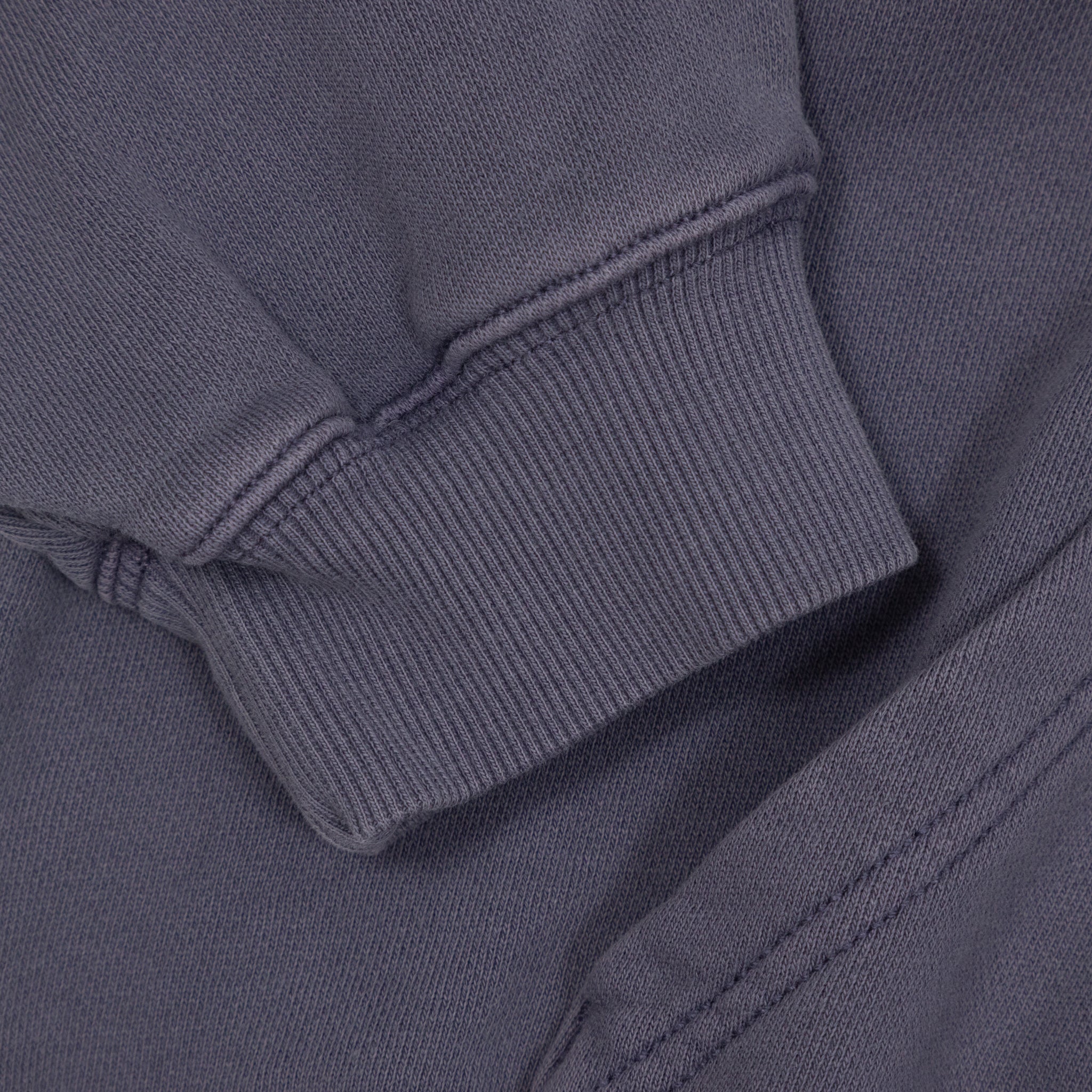 Women's CARHARTT WIP Hoggard Sweat Jacket in Shady Purple