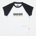 Womens DICKIES Derby Raglan Short Sleeved T-Shirt in OFF WHITE