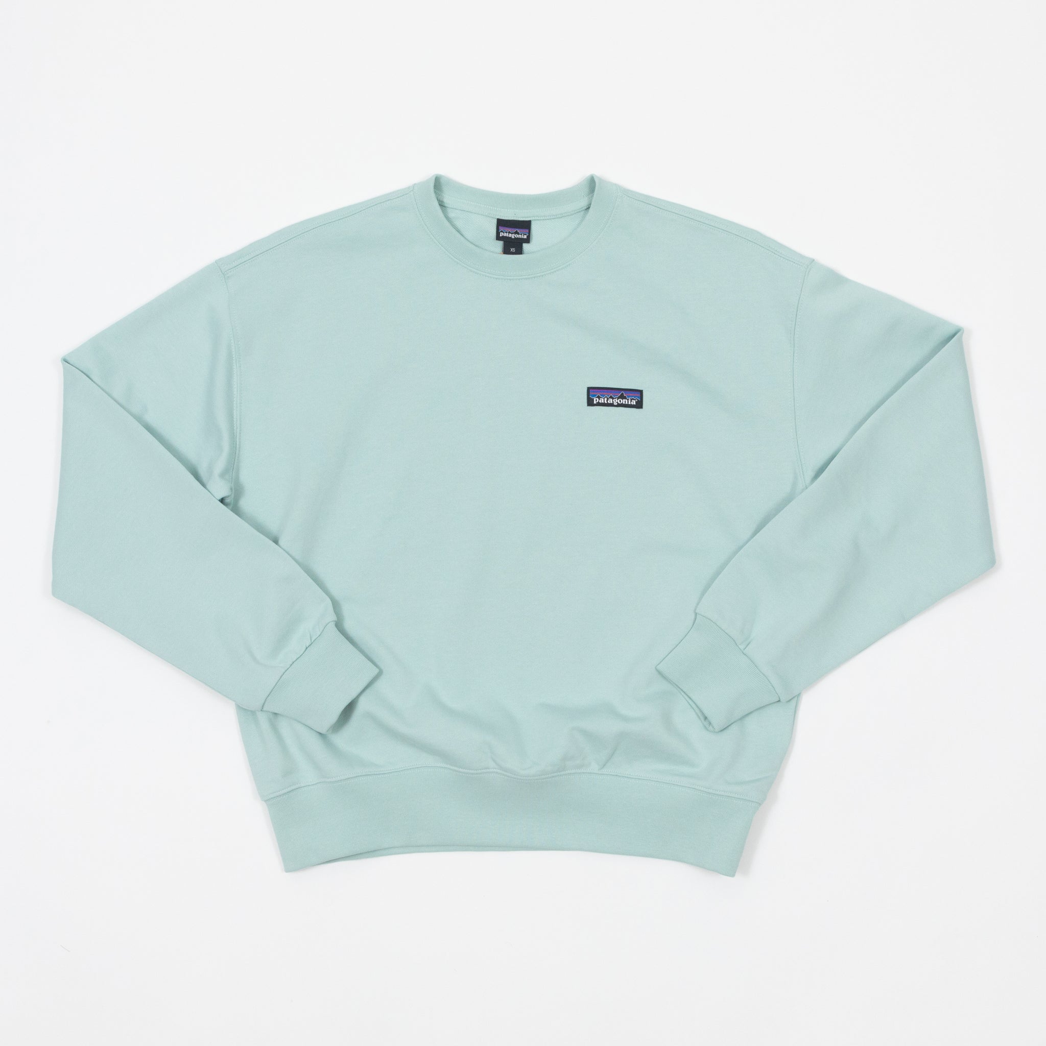 Womens PATAGONIA Daily Crew in THIN ICE