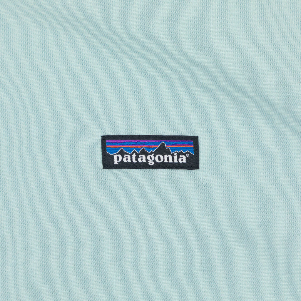 Womens PATAGONIA Daily Crew in THIN ICE