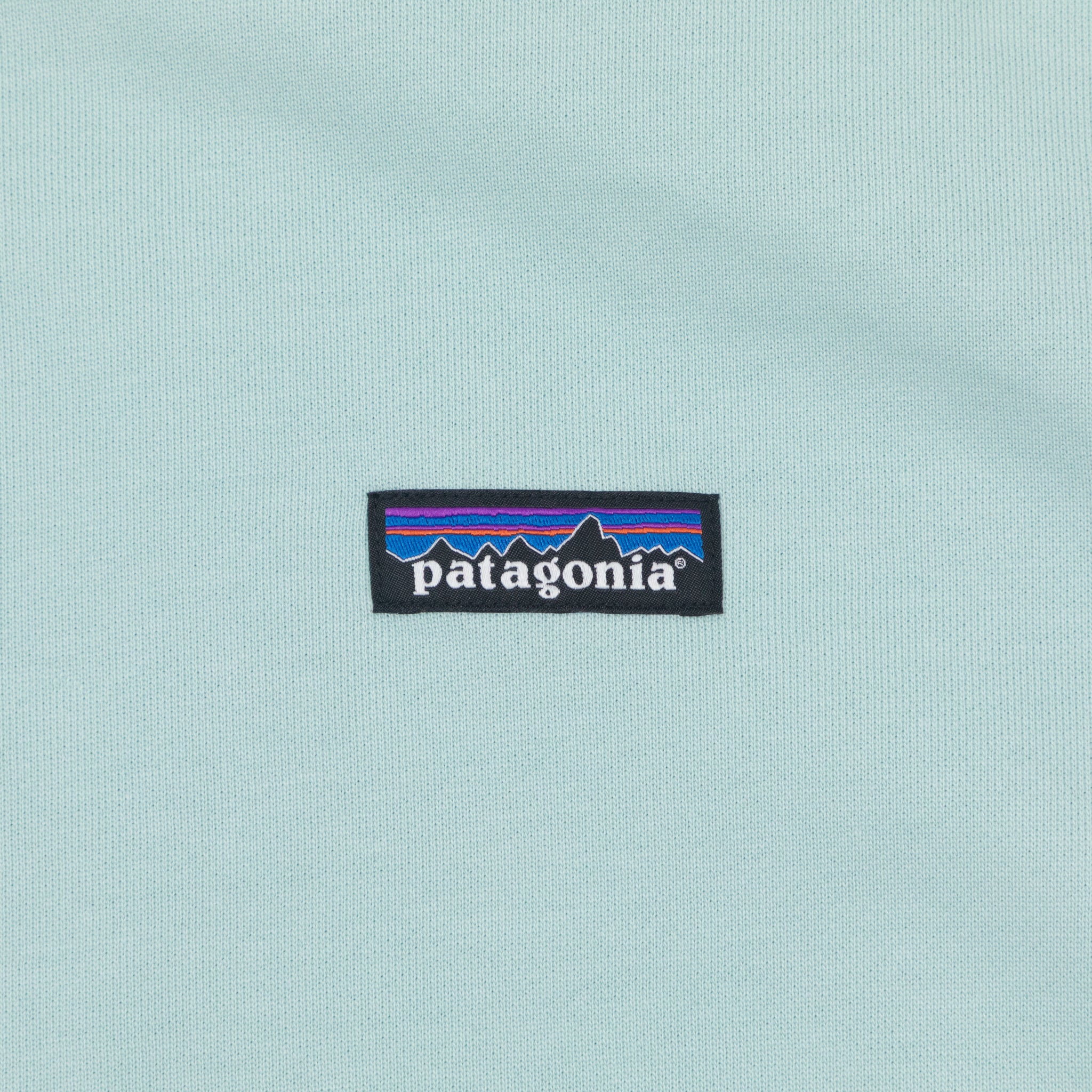 Womens PATAGONIA Daily Crew in THIN ICE