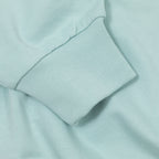 Womens PATAGONIA Daily Crew in THIN ICE