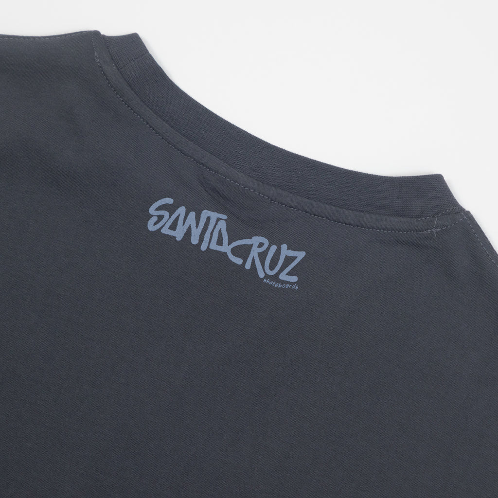 Womens SANTA CRUZ Dizzy Daisy T-Shirt in Grey