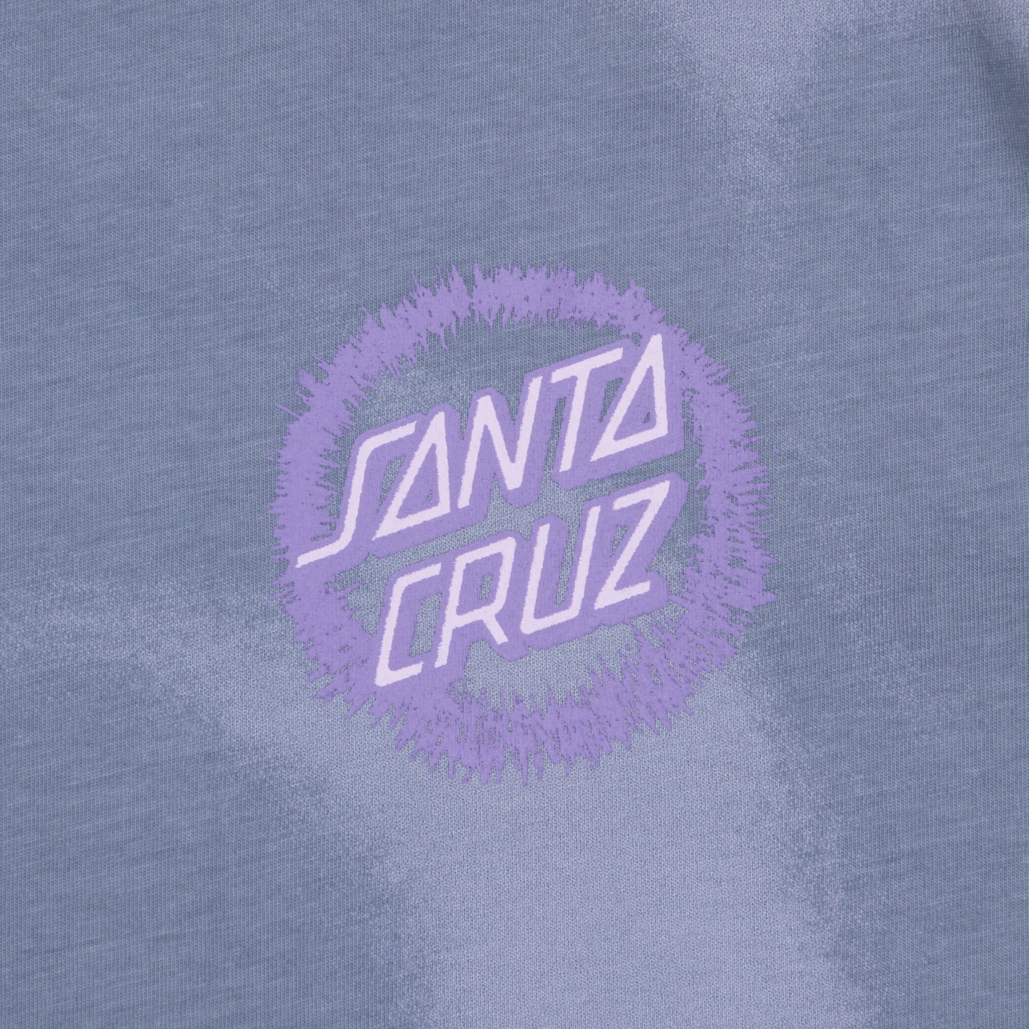 Womens SANTA CRUZ Dizzy Dot T-Shirt in Blue & Purple