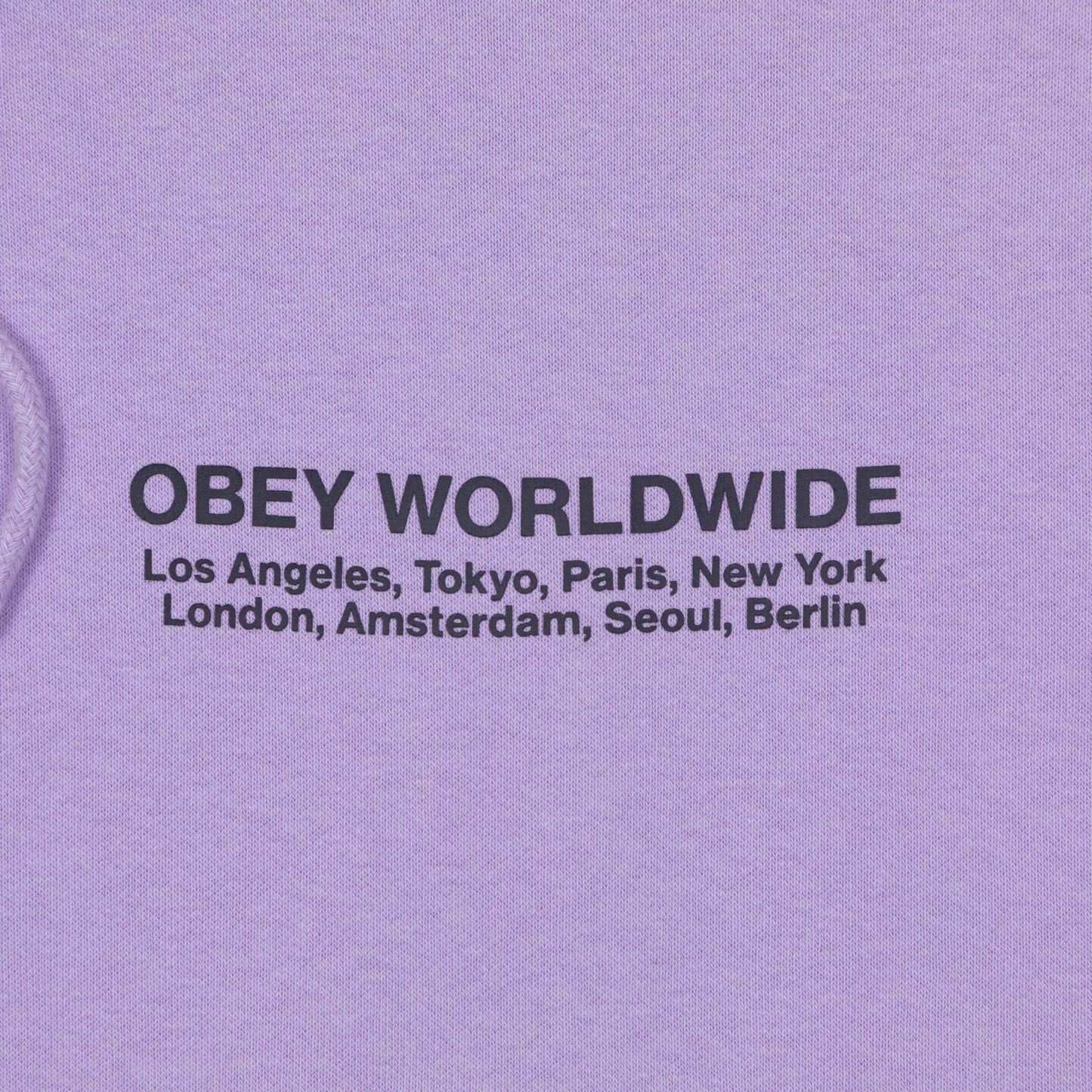 OBEY Worldwide Cities Hoodie in PURPLE