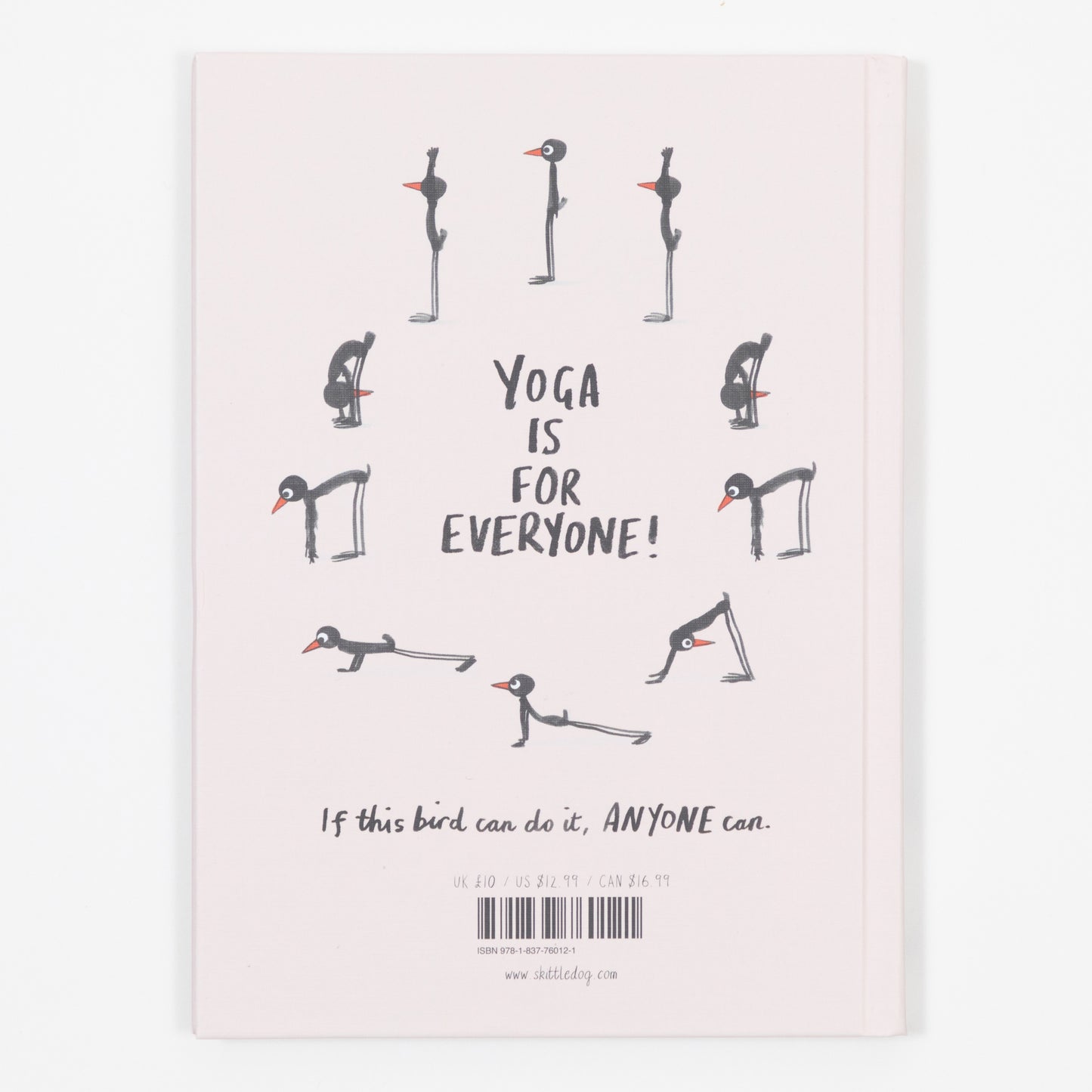 Yoga For Stiff Birds Book