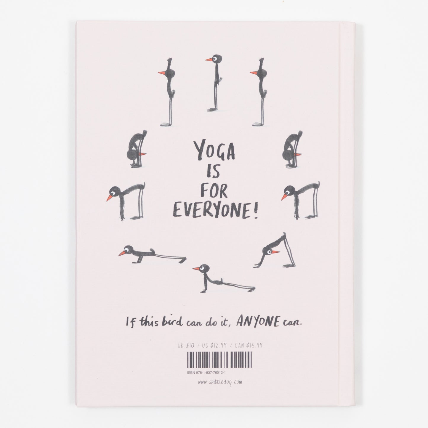 Yoga For Stiff Birds Book