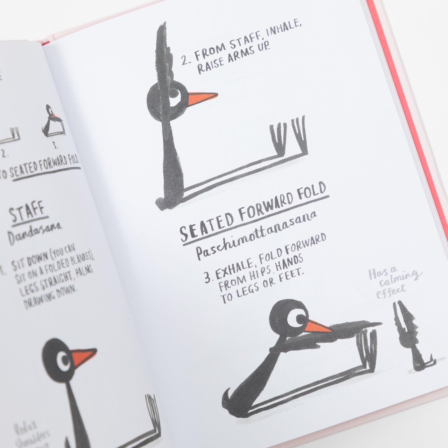 Yoga For Stiff Birds Book
