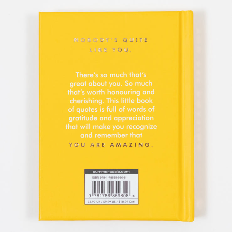 You Are Amazing Self-Help Book (HB)