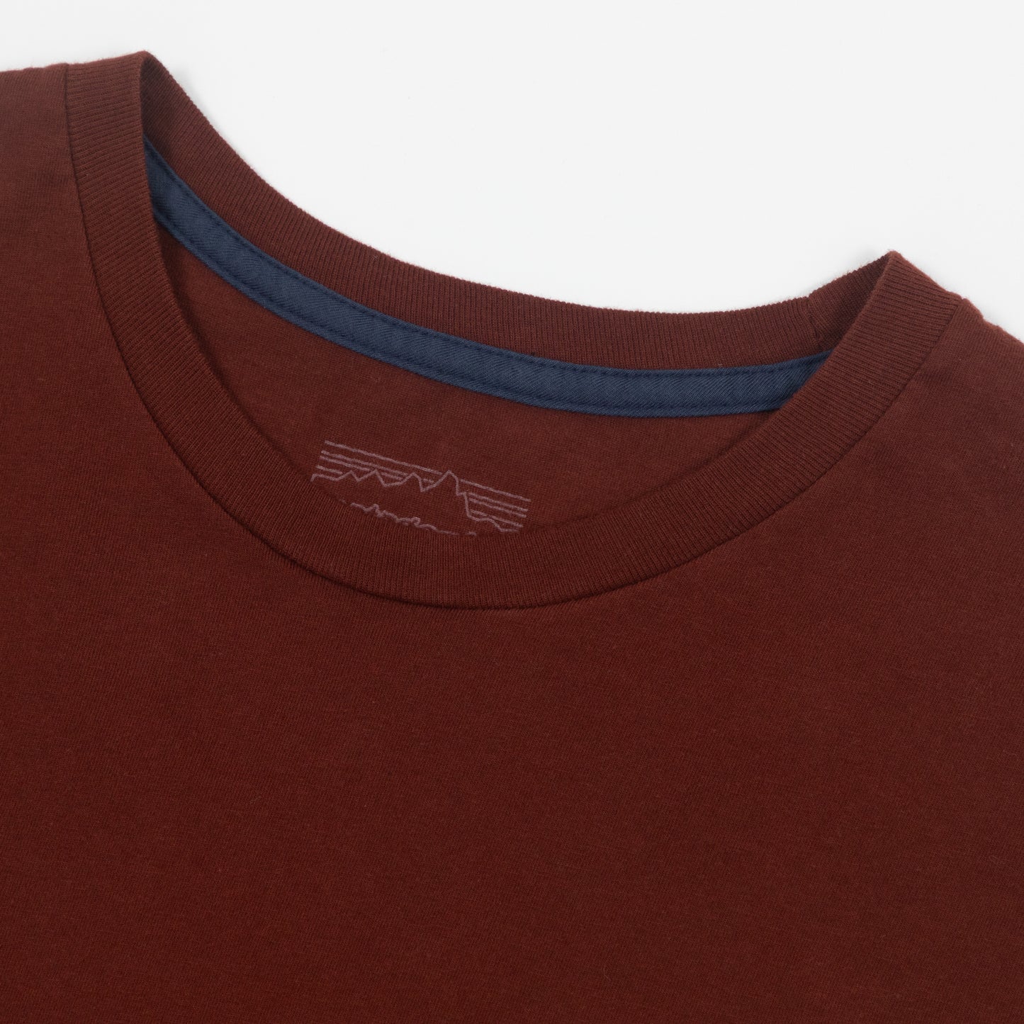 PATAGONIA '73 Skyline Organic T-Shirt in DRIED VANILLA