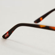 #D The Iconic Sunglasses in TORTOISE GREENIZIPIZI - CACTWS