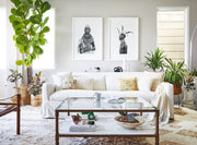 Decorating With Plants