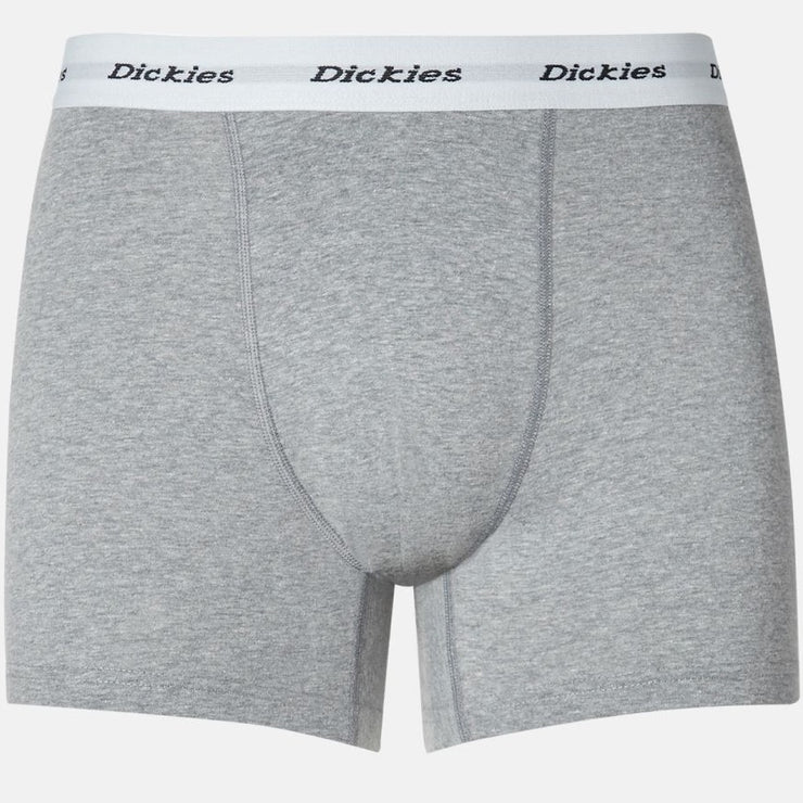 DICKIES 2 Pack Solid Trunks in BLACK & GREY