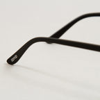 #D The Iconic Sunglasses in BLACKIZIPIZI - CACTWS